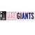 New York Giants Decal 3x10 Perfect Cut Wordmark Color