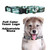 New York Jets Pet Collar Size S