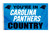 Carolina Panthers Flag 3x5 Country - Special Order