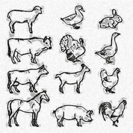 ​What is the most painted animal?