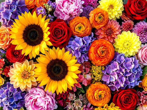 Flower Photography 19 sunflower floral arrangement fine art for lobby installation