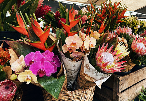 Flower Photography 14