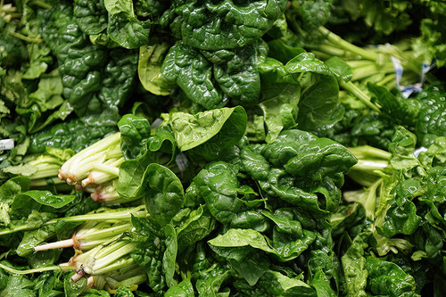 Green Vegetable Photography