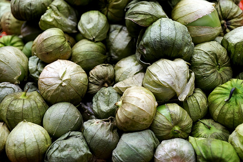 Fresh tomatillo with husk