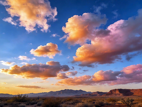 Desert Sky 01 desert sky photography with wide-open sand and warm tones, corporate wall art for offices and hospitality spaces.
