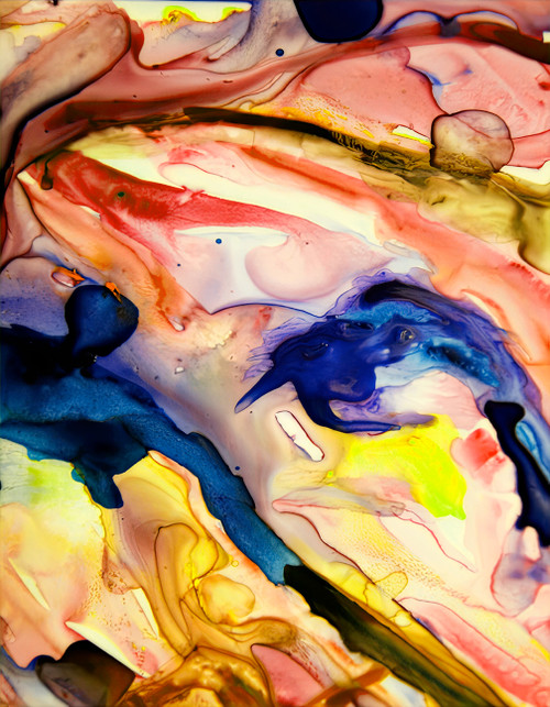 Chimera 3 expressive abstract mural for corporate lobby and commercial space