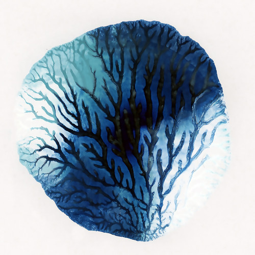 Blue Coral 1 abstract ocean artwork with layered blue and coral textures