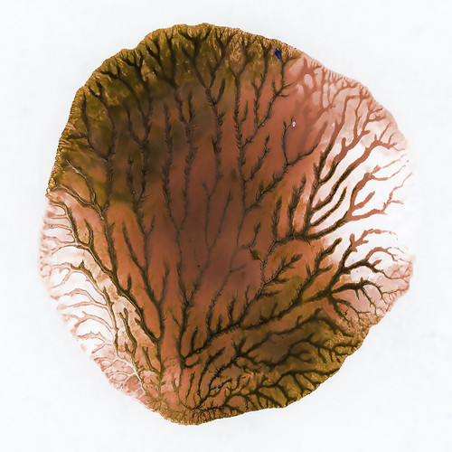 Neutral Coral 2 abstract ocean wall art with layered blue texture and fluid movement