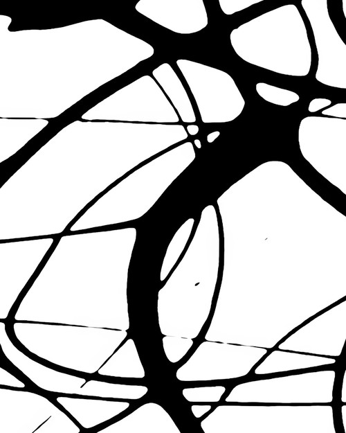 Drip Painting 28 expressive black and white splatter canvas