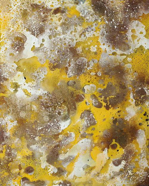 Yellow reflections within 24”x30"