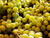 Bunch of green grapes