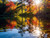 Water 18 autumn river photography with colorful foliage reflected in the water, corporate wall art for offices and hospitality spaces.