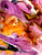 Chimera 4 modern abstract wall art for hospitality reception areas