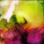 Fantasy 34A vibrant fantasy canvas with energetic composition