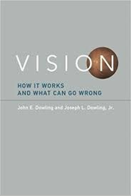 http://axebook.shop/wp-content/uploads/2025/03/vision-how-it-works-and-what-can-go-wrong-mit-press-vision-how-it-works-and-what-can-go-wrong-mit-press.jpg