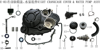 Lifan KPM Water Pump Seal (165MLSE03-06)
