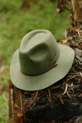 Wesley WTHR GUARD™ Packable Fedora - Light Moss
