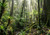 HP E22V1EA PC/workstation Copilot+ PC AMD Ryzen™ AI 7 445 32 GB DDR5-SDRAM 1 TB SSD Windows 11 Pro Mini PC AI PC
