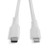 Lindy 0.5m USB Type C to Lightning Cable, White