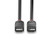 Lindy 1.5m DisplayPort 1.2 Cable, Black Line