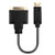 Lindy DisplayPort 1.2 to DVI Converter