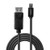 Lindy 1m Mini DisplayPort Male to DisplayPort Male, Black