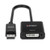 Lindy DisplayPort 1.2 to DVI Active Converter