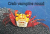 Crab-  vampire rouxi