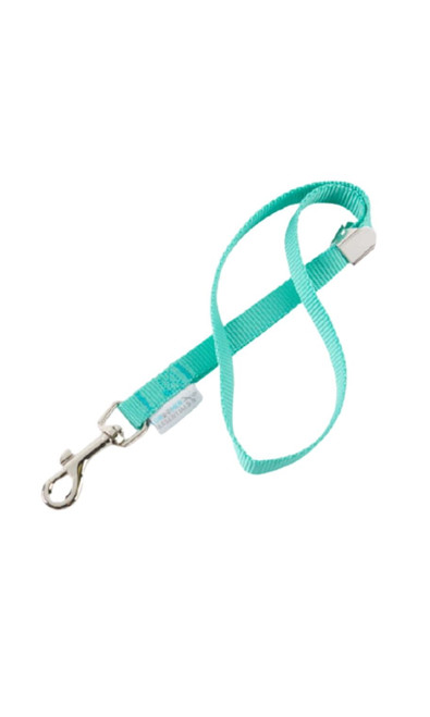 Groomer Essentials 17" Grooming Loop Turquoise Zoomable Image