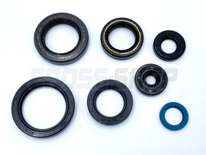 OIL SEAL KIT 250/300 2T EV 15-18 OIL SEAL KIT 250/300 2T EV 15-18