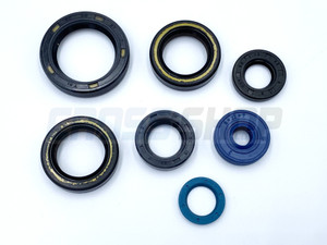 OIL SEAL KIT 125/144 EV M.15->