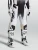 Alpinestars Techstar Swan Pants