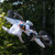 SHOEI VFX-EVO Sparkle Off-Road Helmet