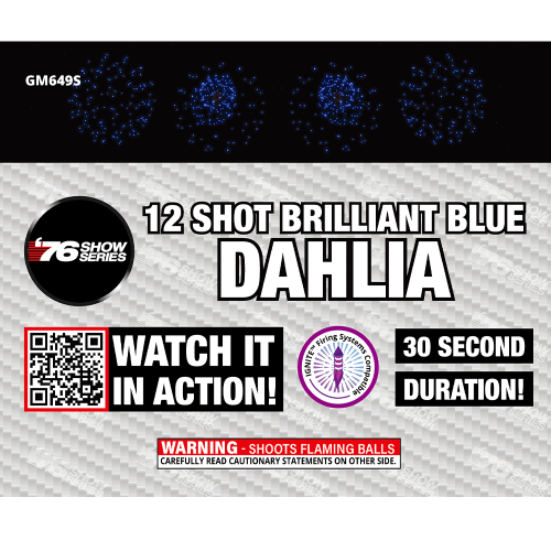 12s R/B/G/Y Dahlia Asst (30 sec) (Show) (Case)