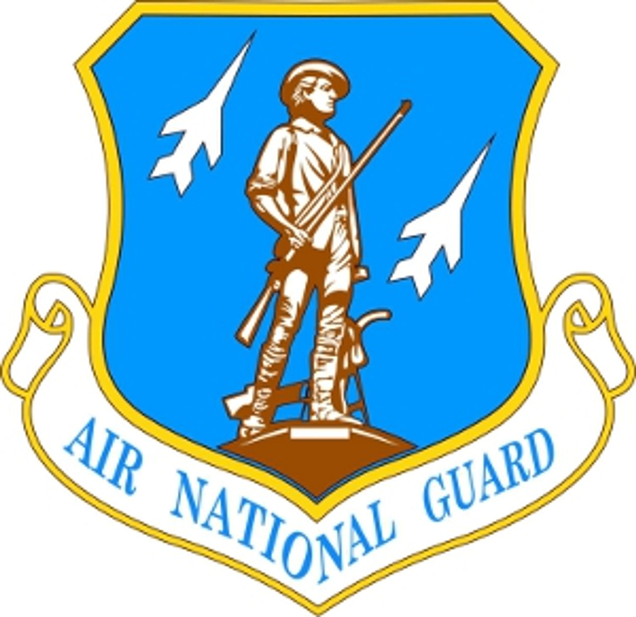 USAF Air National Guard Emblem