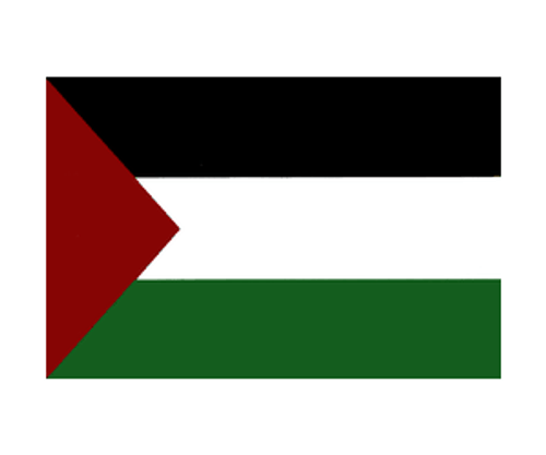 Palestine Flag Decal