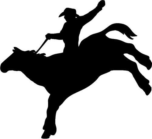 Cowboy On Wild Horse Decal