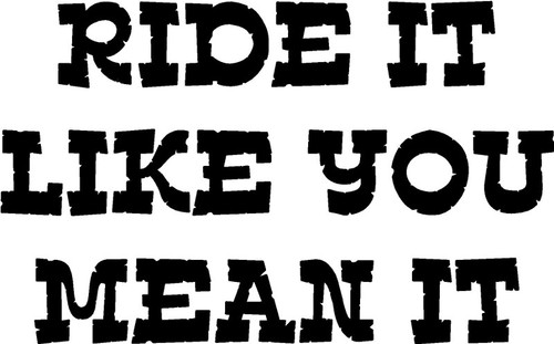 Ride It Like You Mean It Decal