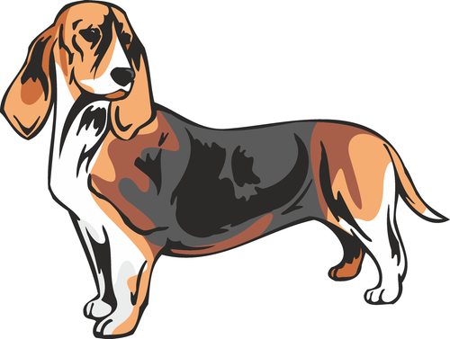Basset Artésien Normand Dog Sticker