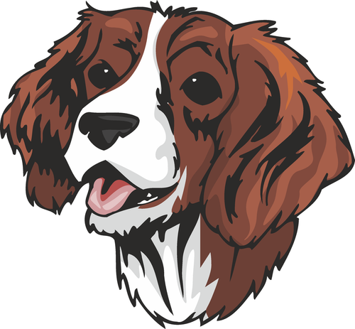 English Springer Spaniel Dog Sticker