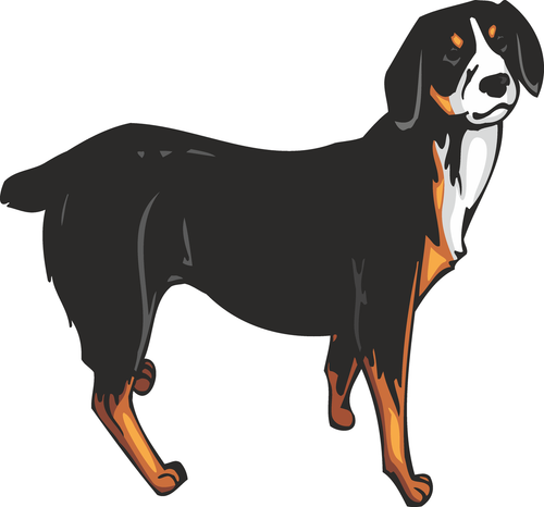 Entlebucher Mountain Dog Sticker