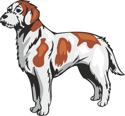 Istrian Coarse Haired Hound Dog Sticker