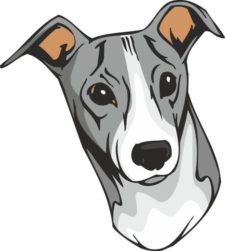 Italian Greyhound Dog Sticker