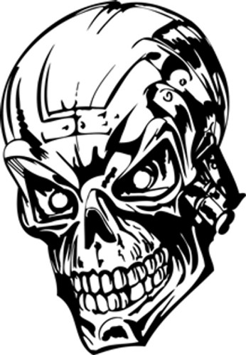 The T100 Skull Decal