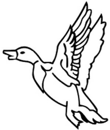 Mallard Duck Decal