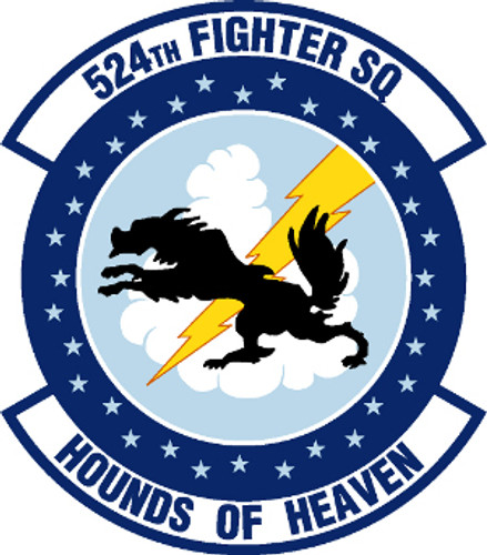 USAF Air Force 524th Fighter Squadron