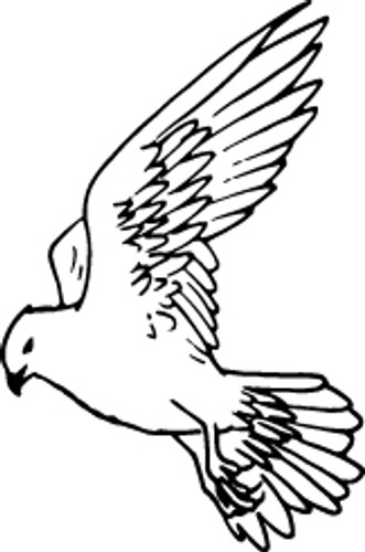 Flying Dove Decal