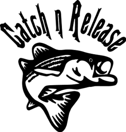 Catch N Release Fishing Decal #2