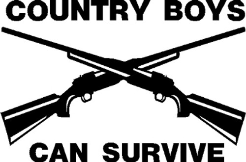 Country Boys Can Survive Decal