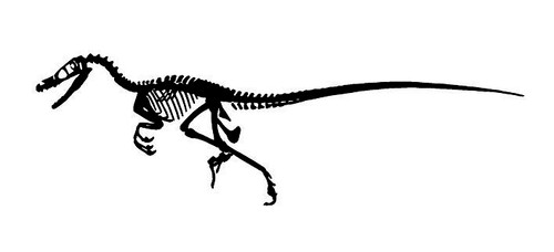 Raptor Dinosaur Fossil Decal